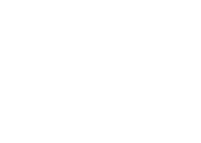 brands-WB_0000_SCA-holding